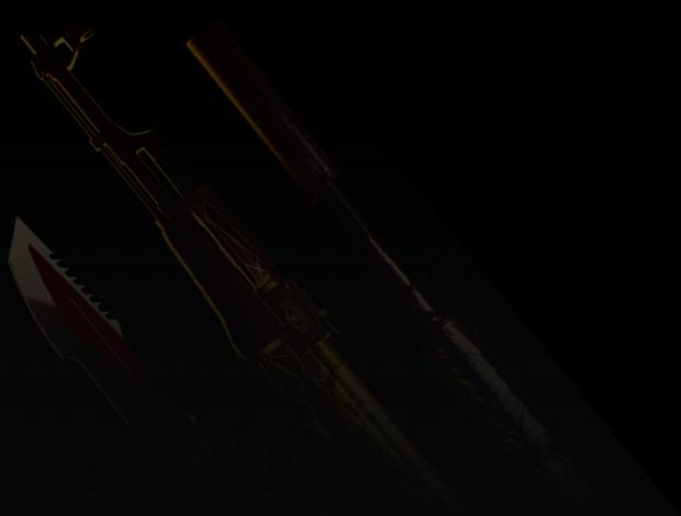 Gun